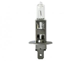 Eufab Halogen-Autolampe H1, 55 Watt fürs Fernlicht 