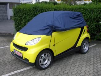APA Halbgarage speziell für Smart 