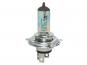 Eufab Halogen-Autolampe Blue Power Light H4
