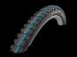 Schwalbe DIRTY DAN EVO LiteSkin 29x2,00 Zoll