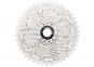 SunRace Kassette CSMS3 10-fach 11-42 - metallic