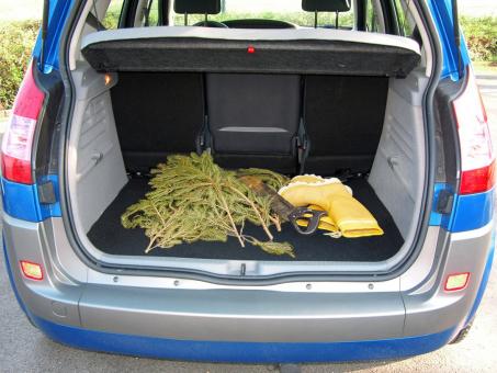 Eufab Kofferraumteppich zuschneidbar 