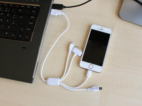 Eufab Universal USB Ladekabel mit 4 Adaptern 