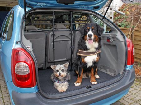 Eufab Hunde- und Gepäckschutzgitter 