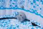 Bestway Whirlpool LAY-Z-SPA Miami, 180x66 cm 